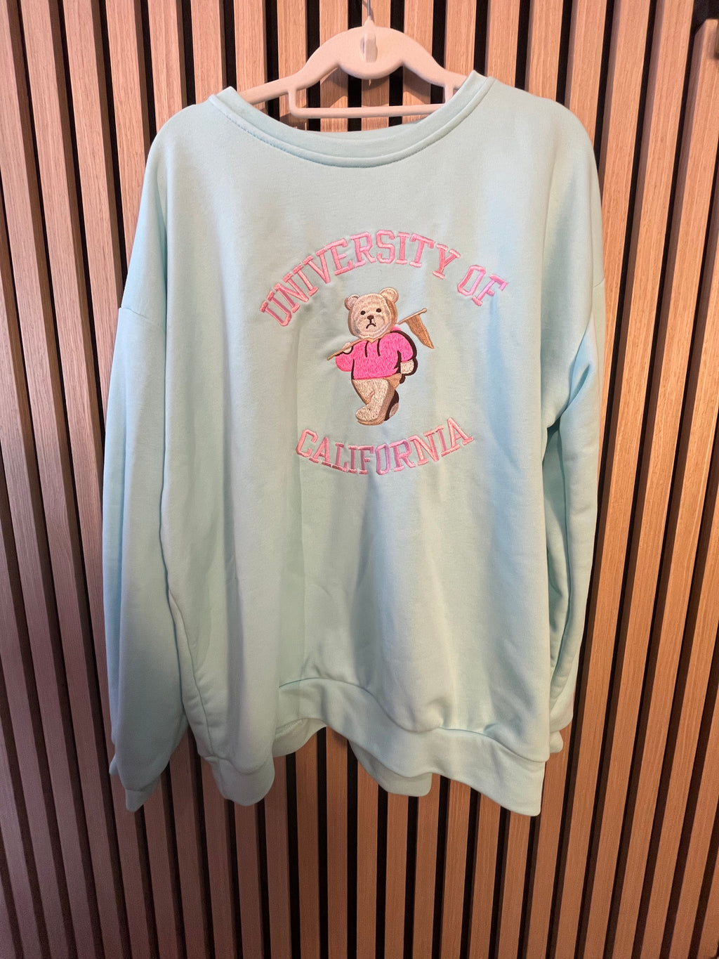 Pullover mit Teddy